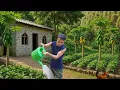 Download Lagu Building a stone house and growing vegetables in the forest