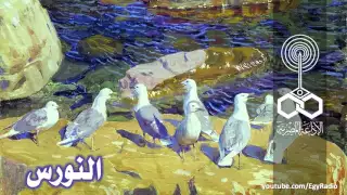 من المسرح العالمي النورس أنطون تشيخوف 