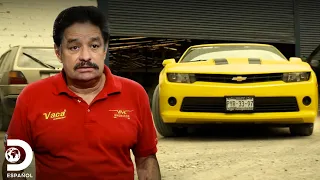 Martín Vaca Planea Convertir un Camaro en Limusina | Mexicánicos | Discovery en español