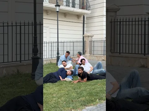 çöl itlərin günlük rutini: