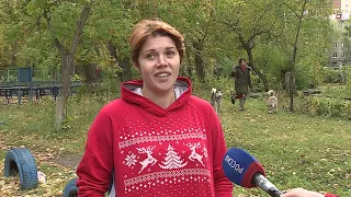 Волонтеры из Омска нашли собаку, отставшую от спортсменов из Барнаула