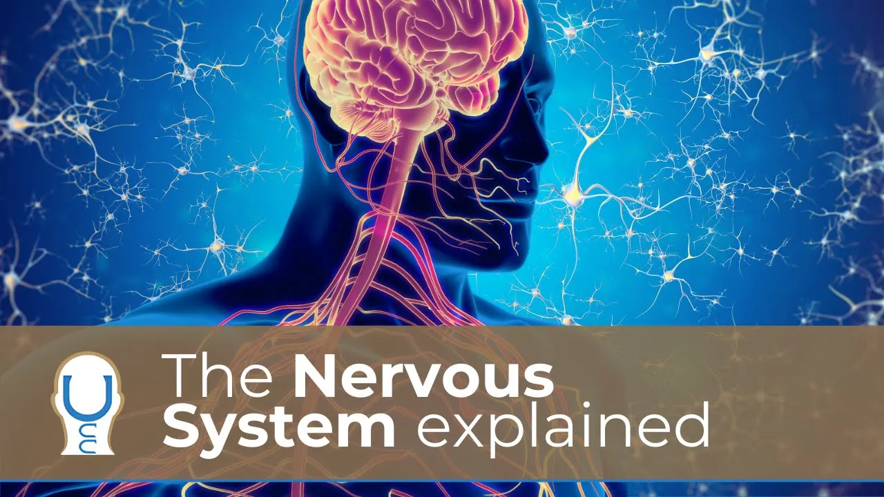 Upper Cervical Educational Video