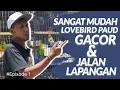 Lagu JAMINAN BUNYI GACOR \u0026 JALAN LAPANGAN,BUKTIKAN SENDIRI.