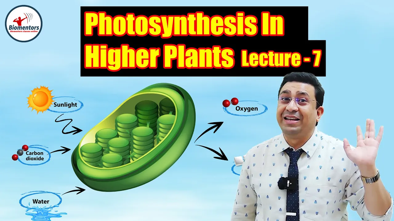 Photosynthesis in Higher Plants l Lecture 7 l Biology l NEET