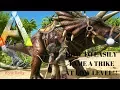 HOW TO EASILY TAME A TRIKE AT LOW LEVEL - Ark Survival Evolved Xbox