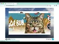 Unity Asset Store Pack - 2D WebView for WebGL Web Browser IFrame
