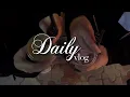 Vlog