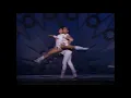 Debbie Allen and Gene Anthony Ray She Works Hard for the Money Song and Dance Number