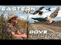 Grinding Out A Limit of Doves Carolina ALL OUT