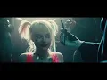 Birds of Prey Harley Quinn Captured