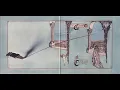 Download Lagu Genesis - The Knife