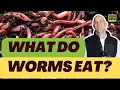 What Do Worms Eat Best and Worst Foods Revealed