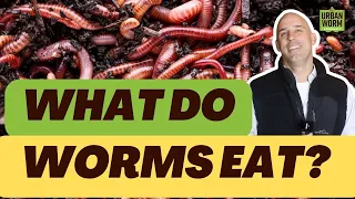 What Do Worms Eat Best and Worst Foods Revealed