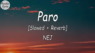 NEJ Paro Slowed Reverb Lyrics Video 
