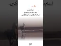 Download Lagu Deep line 🥀💥❤️‍🩹 | Urdu shayari | WhatsApp status | #noor_fatima_171 #1millionaudition #asthetic
