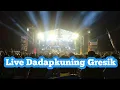 NEW PALAPA |Harunya Aku - Jihan Audy|Live Dadapkuning -Cerme - Gresik