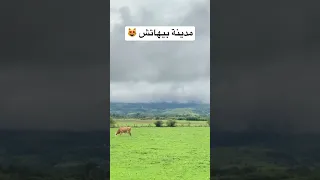 البوسنة والهرسك مدينة بيهاتش راحة نفسيه 2024 