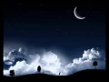 Paul van Dyk Nothing But You 2011 LG Remix