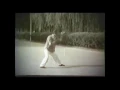 Lagu Tian Xiuchen 田秀臣 (1917-1984), student of Chen Fake, performs Chenstyle xinjia.