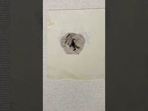 ☆アレ、アナどこだっけ？☆その穴無かったコトに☆くらマ公式CM出演中☆塗装壁対応