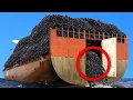 Download Lagu They Dumped 2 Million Tires Into The Ocean. Fifty Years Later You Won’t Believe the Results!