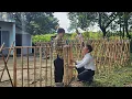 Download Lagu CEO Tu spent his day off to help single mother Tieu Huyen build a fence around her house.