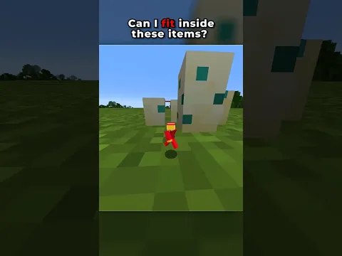 Can I fit inside these items...? 🤔 #minecraft