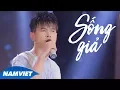 Download Lagu Sống Giả - Lâm Hùng (100 Tình Khúc Để Đời)