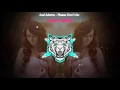 Lagu Joel Adams - Please Don't Go (Tiger Remix)
