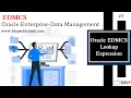 Oracle EDMCS Lookup Expression Oracle EDMCS Implementation Guidelines Oracle EDMCs in 2026