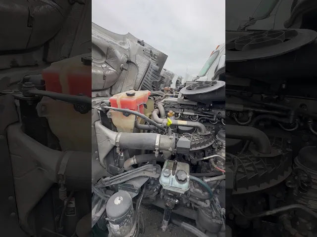View Video