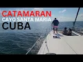 Catamaran Experience From Iberostar Ensenachos Snorkeling Dolphin Interaction Iguana Island