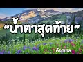น้ำตาสุดท้าย|ค็อกเทล (เนื้อเพลง🎧🎶