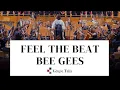 Feel the Beat - Bee Gees / Grupo Talía