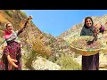 Download Lagu 🌄🍒 Adventure in Zagros: Mother \u0026 Daughter Harvesting Barberries 💕🌳
