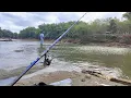 Download Lagu IKAN BESAR BESAR KUMPUL DI SINI...! MANCING IKAN DI LOKASI PENUH IKAN BESAR