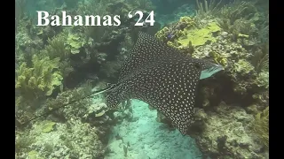 Bahamas ’24