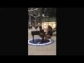 Lagu Den Haag Centraal 03-03-2015