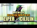 Download Lagu TEMBAKAN MEWAH KONIN GACOR FUL ISIAN MATERI CILILIN MIX ZIPER PANJANG COCOK BUAT MASTERAN KOLIBRI