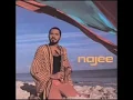 Lagu Najee Can't hide love -album version
