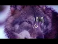 Los Temerarios - Dímelo (LETRA)