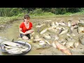 Download Lagu Full Video:120 Day Harvesting Many Fish, Harvest Chicken And Big Mussels Go To Market Sell