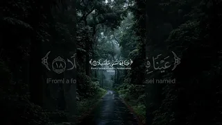 عينا فيها تسمى سلسبيلا قران كريم محمد اللحيدان سورة الانسان تصميمي راحة نفسية 