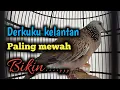 Download Lagu Derkuku kelantan suara merdu bikin adem