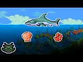 Coral Reef Build Tips Terraria