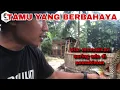 Download Lagu ULAR BERACUN SERING ADA DI PEMUKIMAN