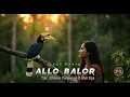 Download Lagu Lagu Dayak ALLO BALOR (Cover terbaru 2025)