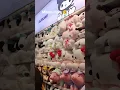 soft toys Store at gurgaon