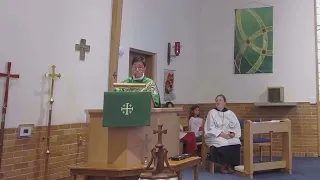                 دندنها