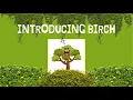 BIRCH Clustering Algorithm Data Mining